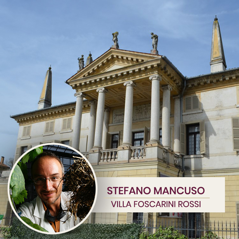 Stefano Mancuso in Villa Foscarini Rossi per Sorsi d'Autore 2021