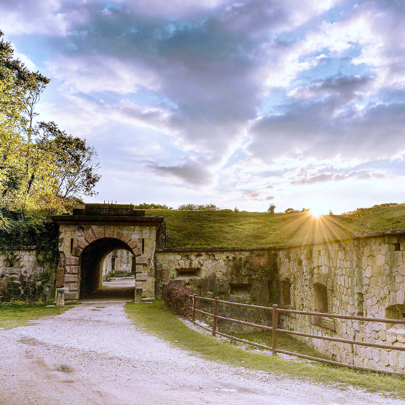 Discover Forte Gisella